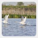 Pesquisar por tundra adesivos Pássaro