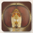 Pesquisar por biologia porta copos Animal