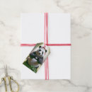 Pesquisar por panda etiquetas de presente Verde