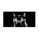 Pesquisar por pet carimbos Animal