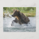 Pesquisar por grizzly bear cartoes postais Alaska