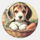 Pesquisar por beagle puppy adesivos Cachorrinho