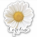 Pesquisar por flor macbook capas Qualquer pessoa