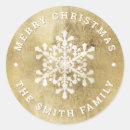 Pesquisar por fenda adesivos Floco de neve