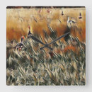 Pesquisar por ducks relogios de parede Aves