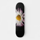 Pesquisar por comum skates Rosa