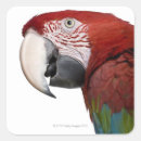 Pesquisar por partes do corpo adesivos Natureza