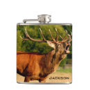 Pesquisar por cervos cantis Caça