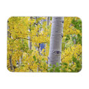 Pesquisar por montanha rochosa imas Eua