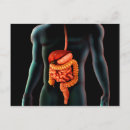 Pesquisar por sistema digestivo cartoes postais Close up