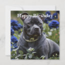 Pesquisar por staffordshire bull terrier cartoes Animal