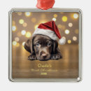 Pesquisar por labrador retriever ornamentos Animais