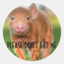 Pesquisar por coma me adesivos Animais