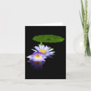 Pesquisar por refletido cartoes Água