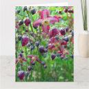 Pesquisar por fachadas cartoes postais Floral