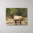 Pesquisar por antlers impressão de canvas Fall