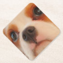 Pesquisar por cachorrinhos porta copos For her