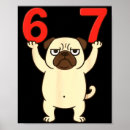 Pesquisar por pug engraçado pósteres pôsteres Adorável