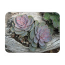 Pesquisar por derivado imas Madeira derivada