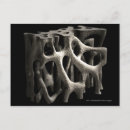 Pesquisar por ossos humanos cartoes postais Ilustração