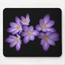 Pesquisar por açafrão roxo Floral