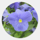 Pesquisar por amor perfeito azul Roxo