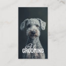 Pesquisar por pet groomer cartao de visita Cuidados de estimação