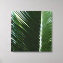 Pesquisar por caribe impressão de canvas Palmeira