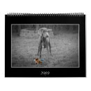 Pesquisar por calendário do cão calendarios Filhote de cachorro
