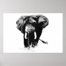 Pesquisar por elefante branco pôsteres Africano