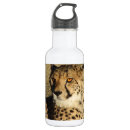 Pesquisar por impressão garrafa agua Chita