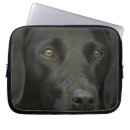 Pesquisar por labrador capas Bonito