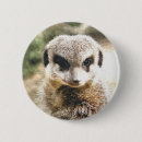 Pesquisar por meerkat botons Animal