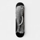 Pesquisar por desenho elefante skates Vida selvagem