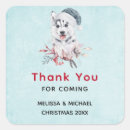 Pesquisar por roucos adesivos Natal