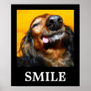 Pesquisar por sorriso pósteres pôsteres Inspirador