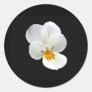 Pesquisar por isolado adesivos Preto