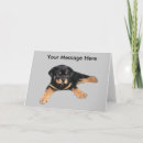 Pesquisar por rottweiler puppy cartoes Dog