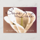 Pesquisar por mentirosos convites Salvar a data