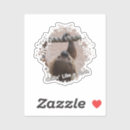 Pesquisar por quadril adesivos Moderno