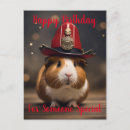 Pesquisar por porco engraçado cartoes postais Guiné