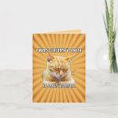 Pesquisar por grumpy cat Gatos