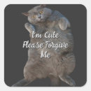 Pesquisar por postura adesivos Gato