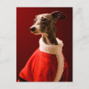 Pesquisar por galgos cartoes Animais de companhia