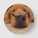 Pesquisar por golden retriever relogios de parede Ouro
