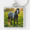 Pesquisar por foto do cavalo chaveiros Cavalos