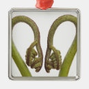 Pesquisar por entalhe ornamentos Plantas