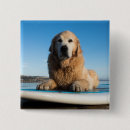 Pesquisar por surf botons Mar