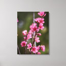 Pesquisar por bloom impressão de canvas Eua