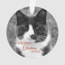 Pesquisar por natal do gato preto ornamentos Cats